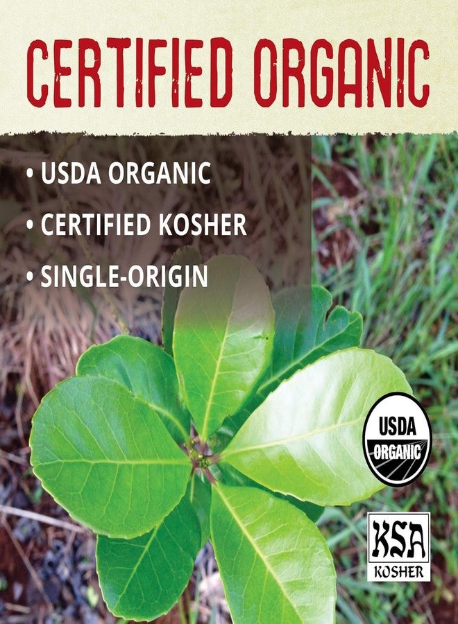 ECOTEAS  أكياس شاي يربا ماتي العضوي الممتاز من إيكوتيز - شاي أعشاب طبيعي للطاقة والتخلص من السموم - بديل للقهوة - كوشير، غير معدل وراثيًا، خالٍ من الغلوتين - 100 كيس سائب غير مدخن، 8.8 أونصة (عبوة من 2) - Image 4